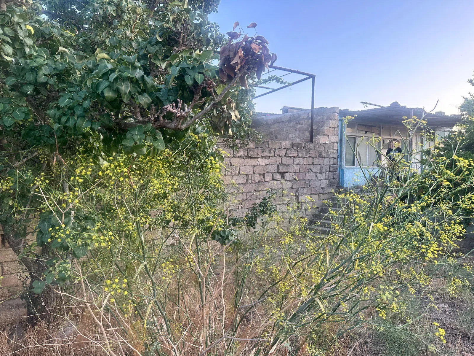 6.5 sot torpaq sahəsi satılır — şəkil 10