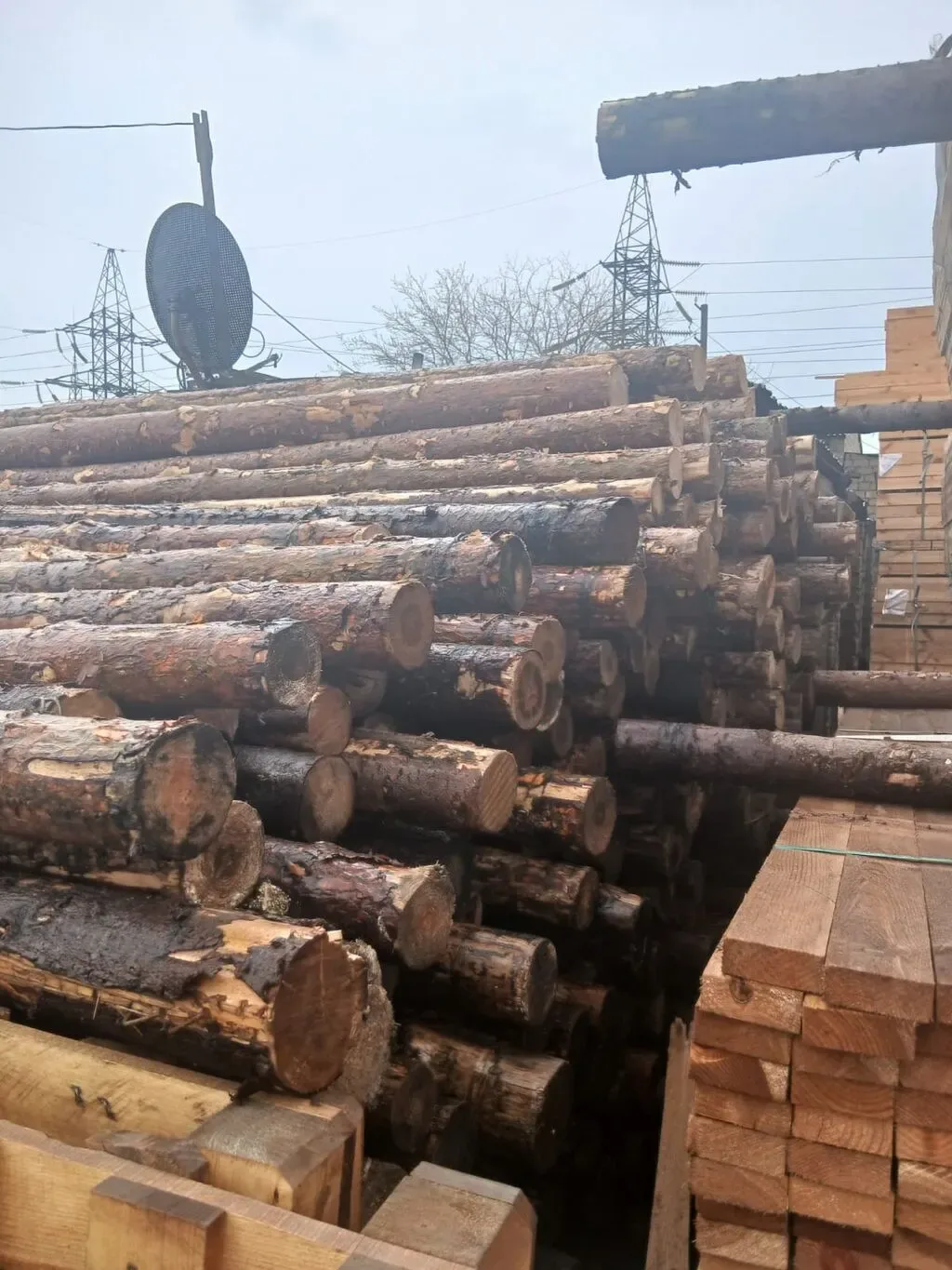 Şam ağacından yumru dirəklər və taxta materialları