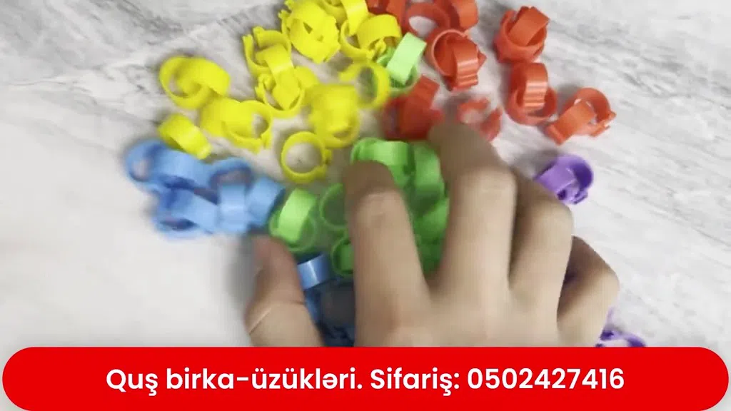 Quşlar üçün üzük birkalar - Tenderyard
