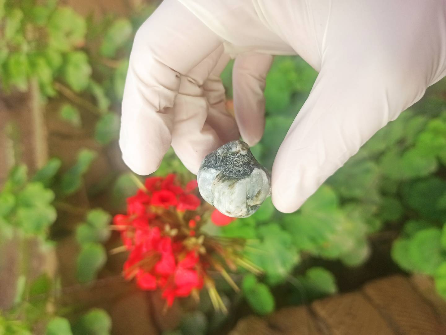 Təbii Mineral Daşların Satışı — şəkil 17