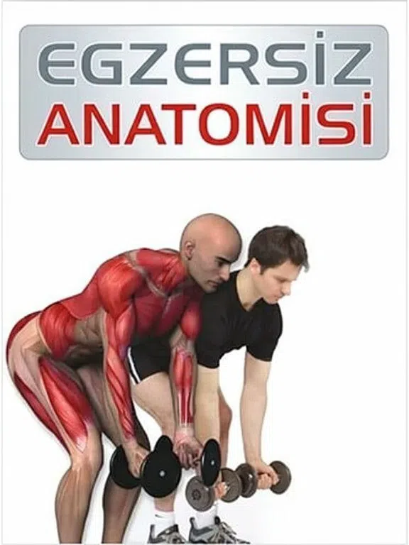 Kuvvet Antrenmanı Anatomisi, Pat Manocchia — şəkil 3