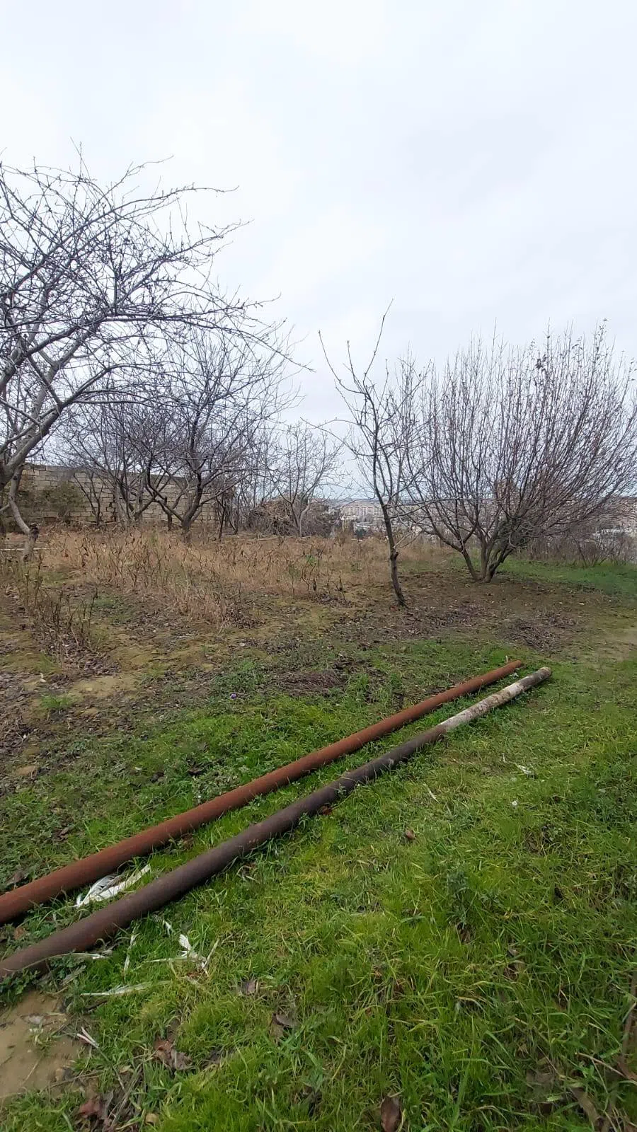 6 otaqlı villa 450 m² - 16 sot torpaq sahəsində satılır — şəkil 11