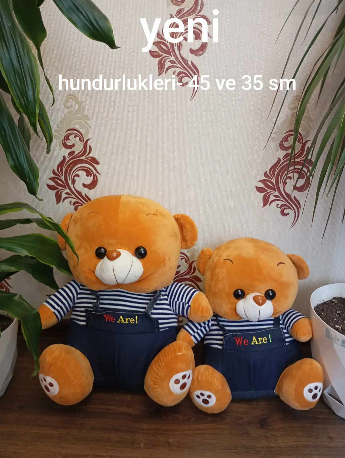 Ayiciqlar.Ekiz ayilar