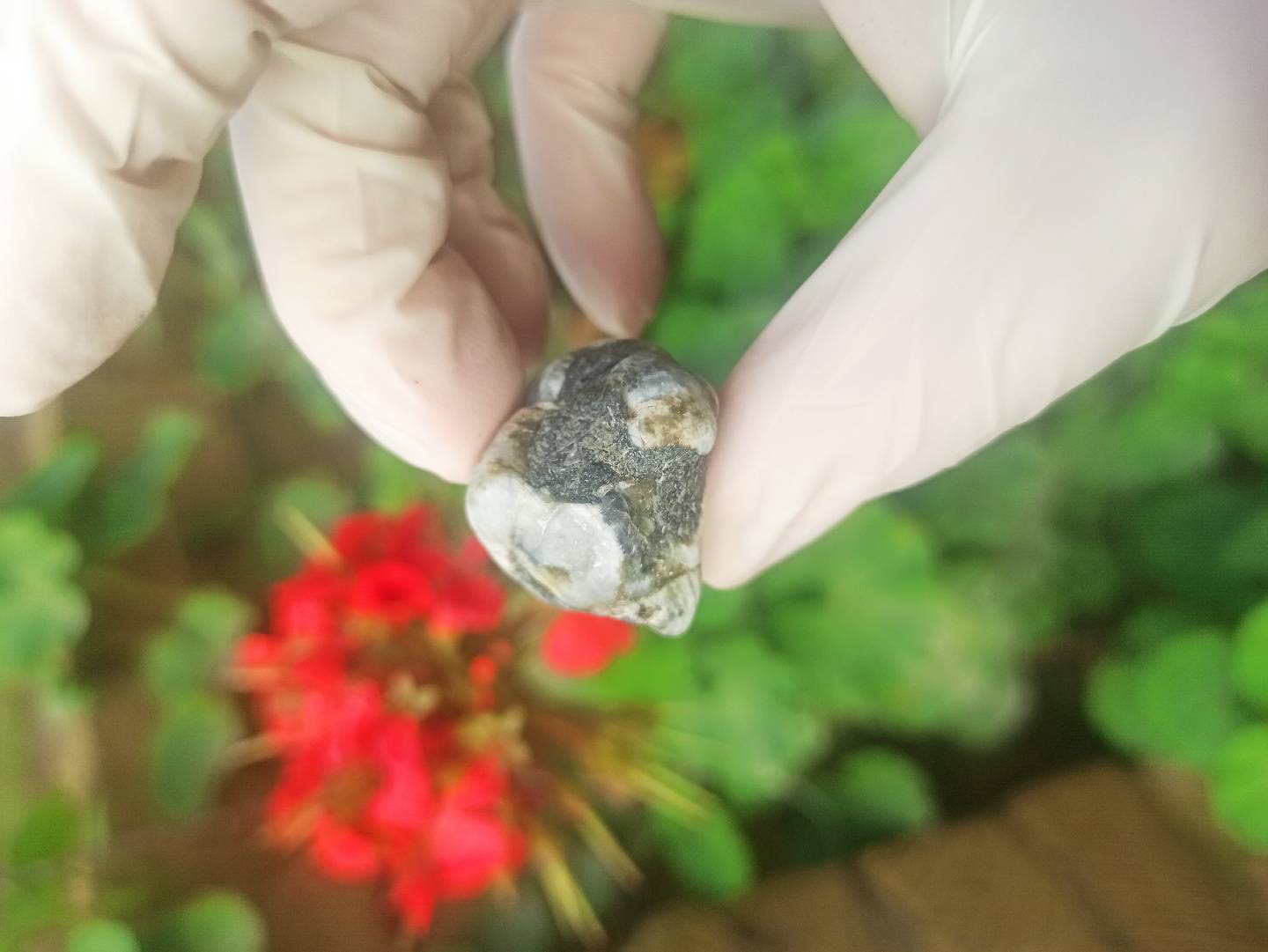 Təbii Mineral Daşların Satışı — şəkil 12