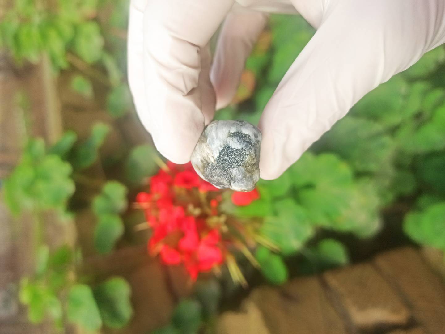 Təbii Mineral Daşların Satışı — şəkil 2