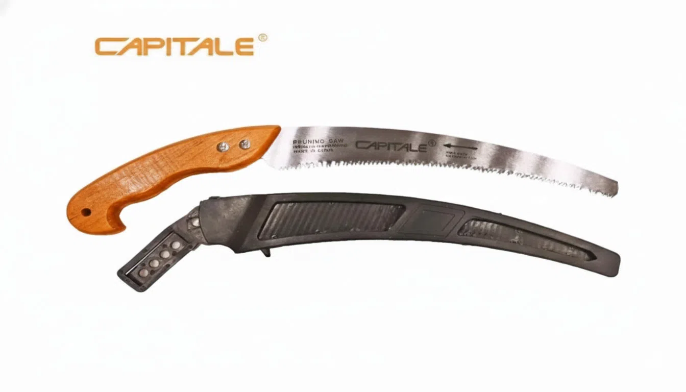 Capitale Bağ Mişarı 350 mm, Çexol ilə — şəkil 1
