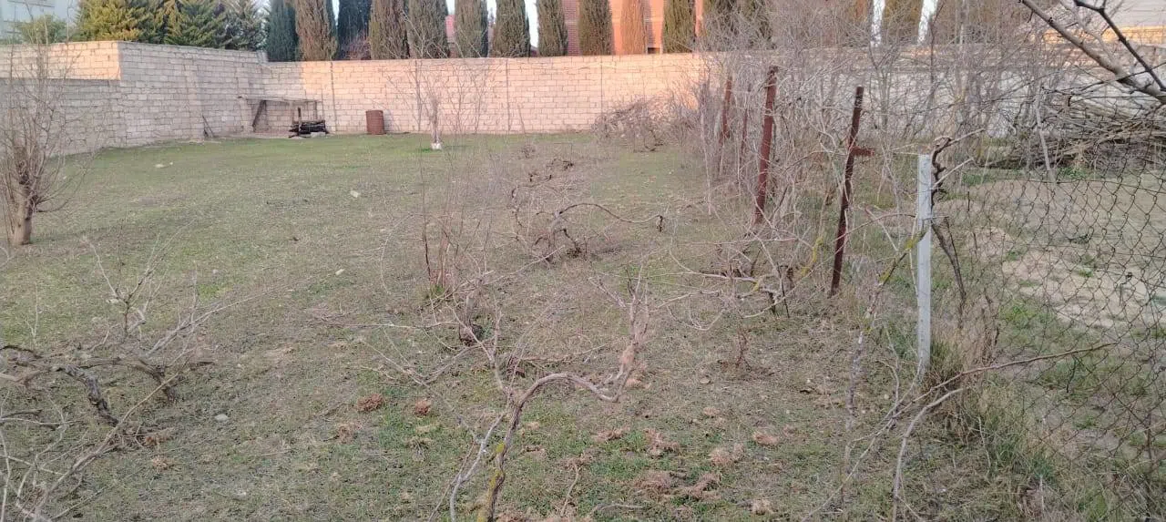 5 sot torpaq sahəsi satılır — şəkil 3