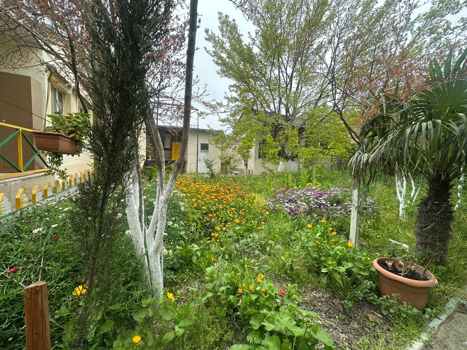 3 otaqlı bağ evi 120 m² 5 sot torpaq sahəsində satılır — şəkil 19