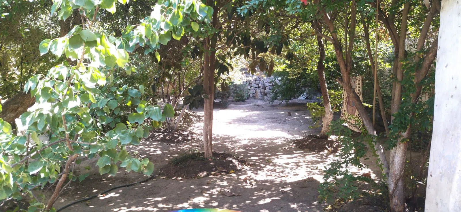 3 otaqlı həyət evi 54 m² - 5.5 sot torpaq sahəsində satılır — şəkil 18