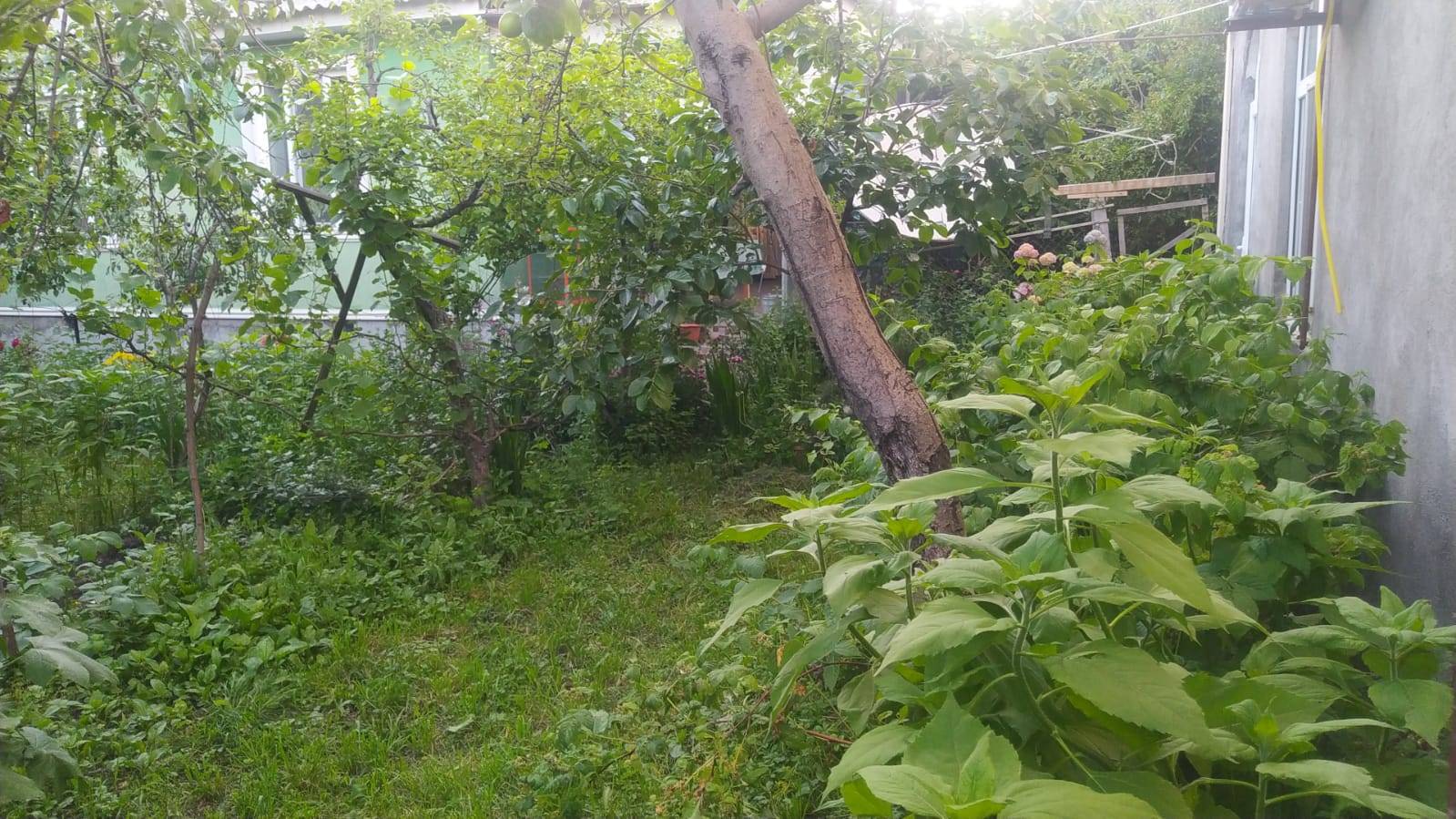 2 otaqlı həyət evi 20 m² - günlük kirayə verilir — şəkil 2