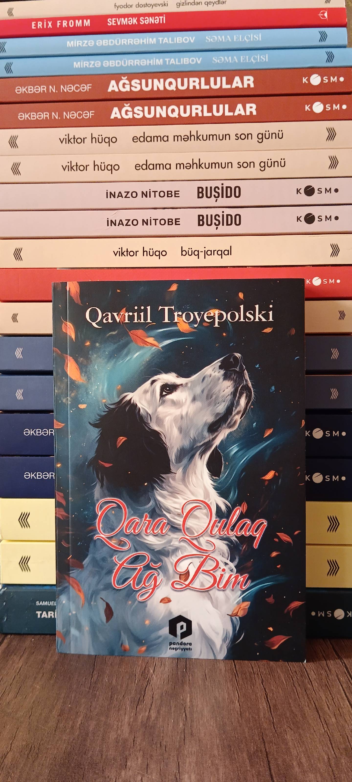 Qavriil Troyepolski: "Qara qulaq ağ Bim"