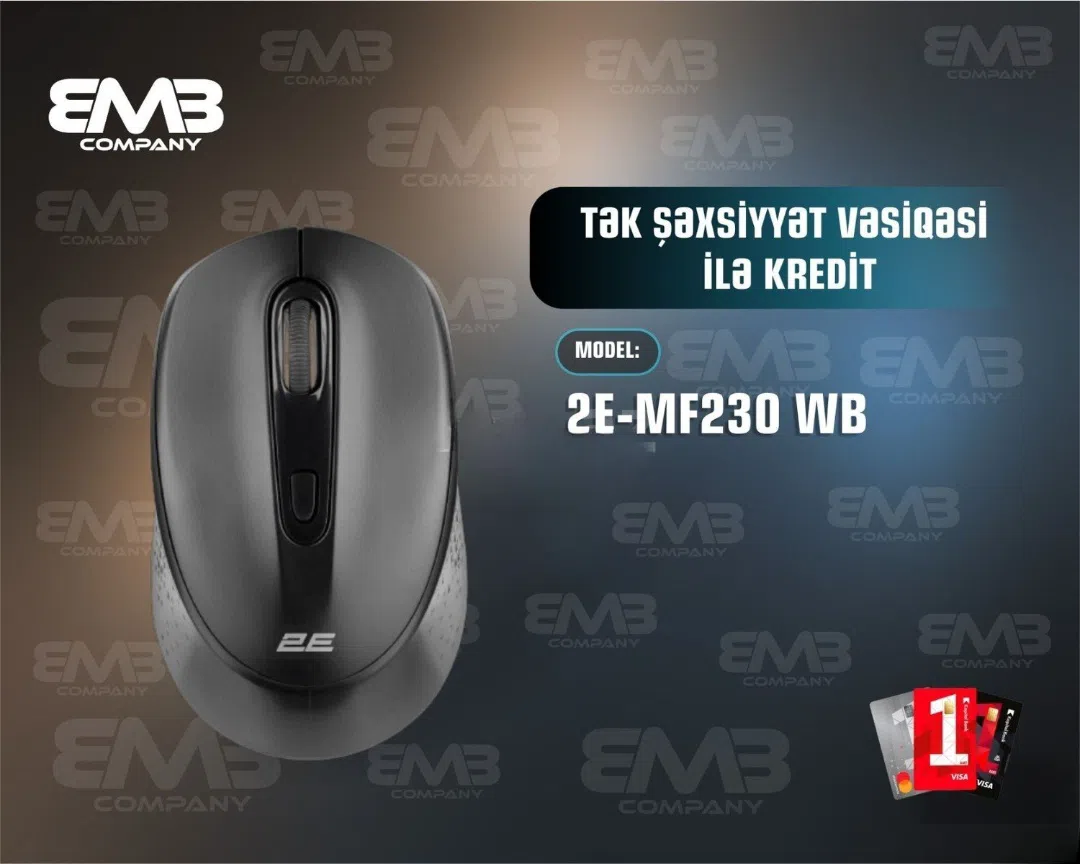 2E markalı komputer siçanı