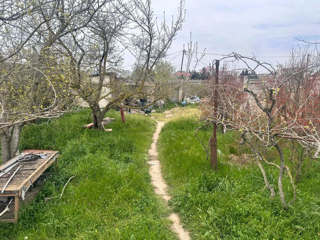 16.6 sot torpaq sahəsi satılır