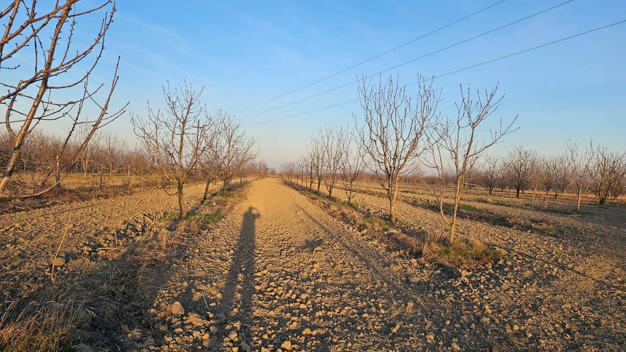 24 sot torpaq sahəsi satılır — şəkil 3