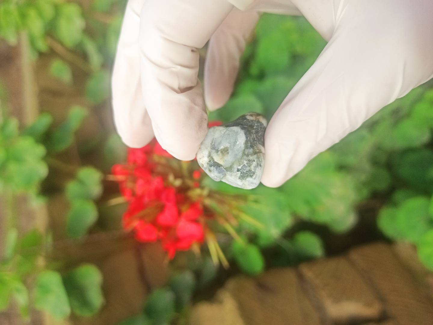 Təbii Mineral Daşların Satışı — şəkil 3