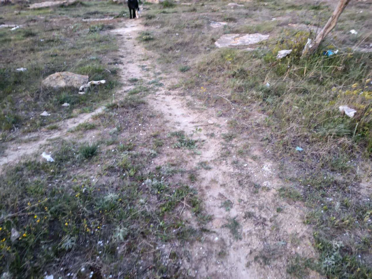 25 sot torpaq sahəsi satılır — şəkil 1