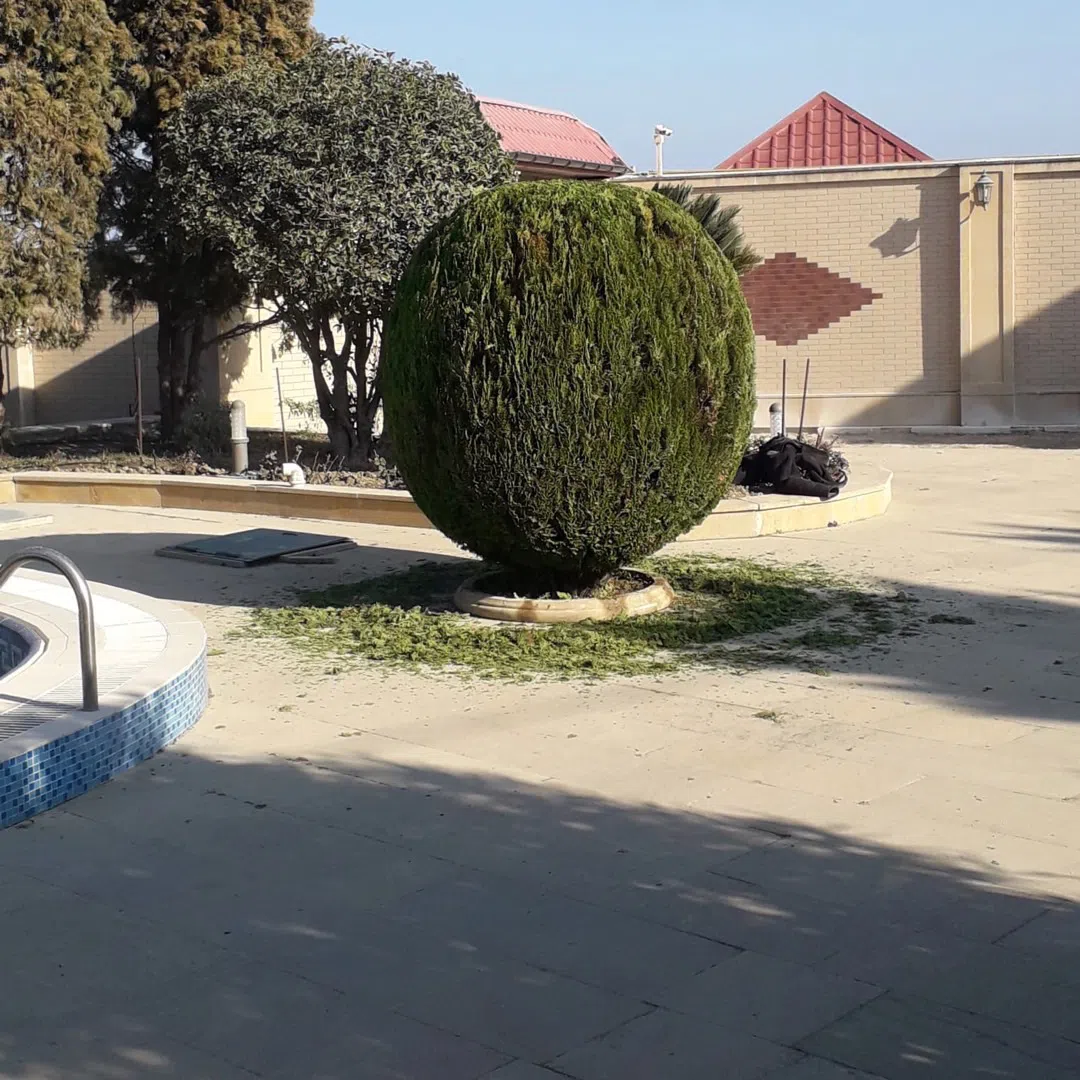 — şəkil 6