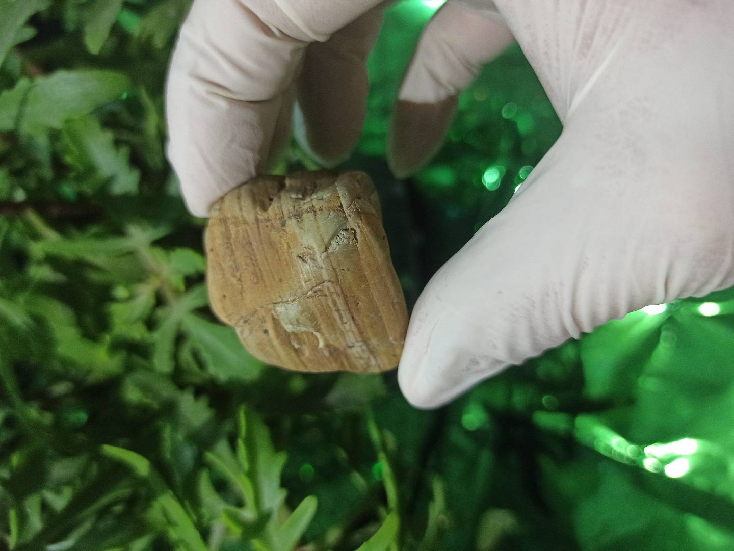 Kolleksiya üçün təbii daş 💎 — şəkil 4