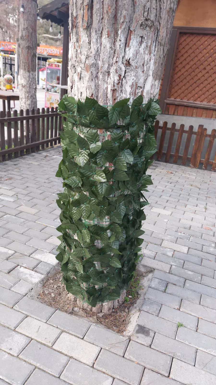— şəkil 3