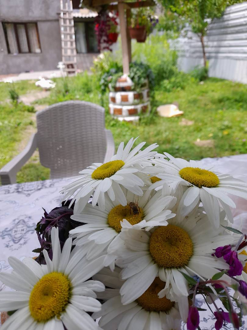 2 otaqlı bağ evi 70 m² kirayə verilir — şəkil 5