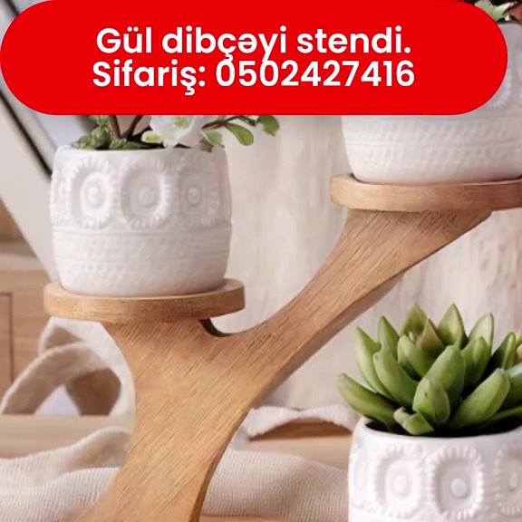 Gül dibçəyi stendi - Tenderyard