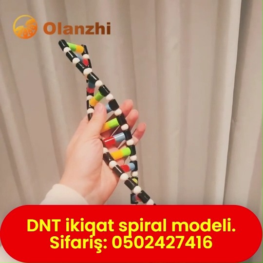 DNA double helix model - Tenderyard