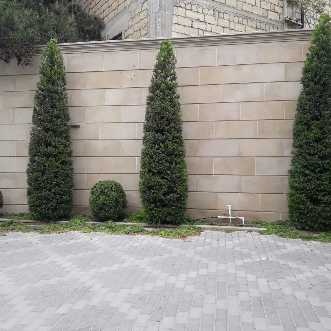 — şəkil 13