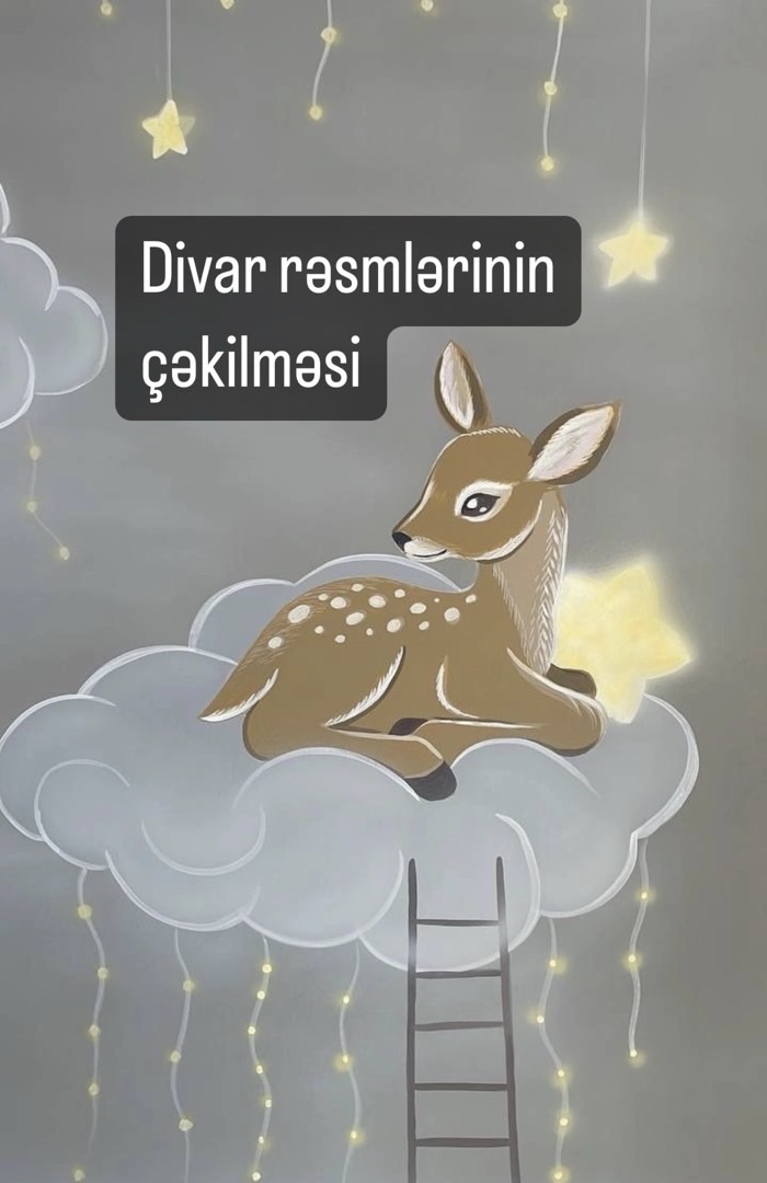 — şəkil 1