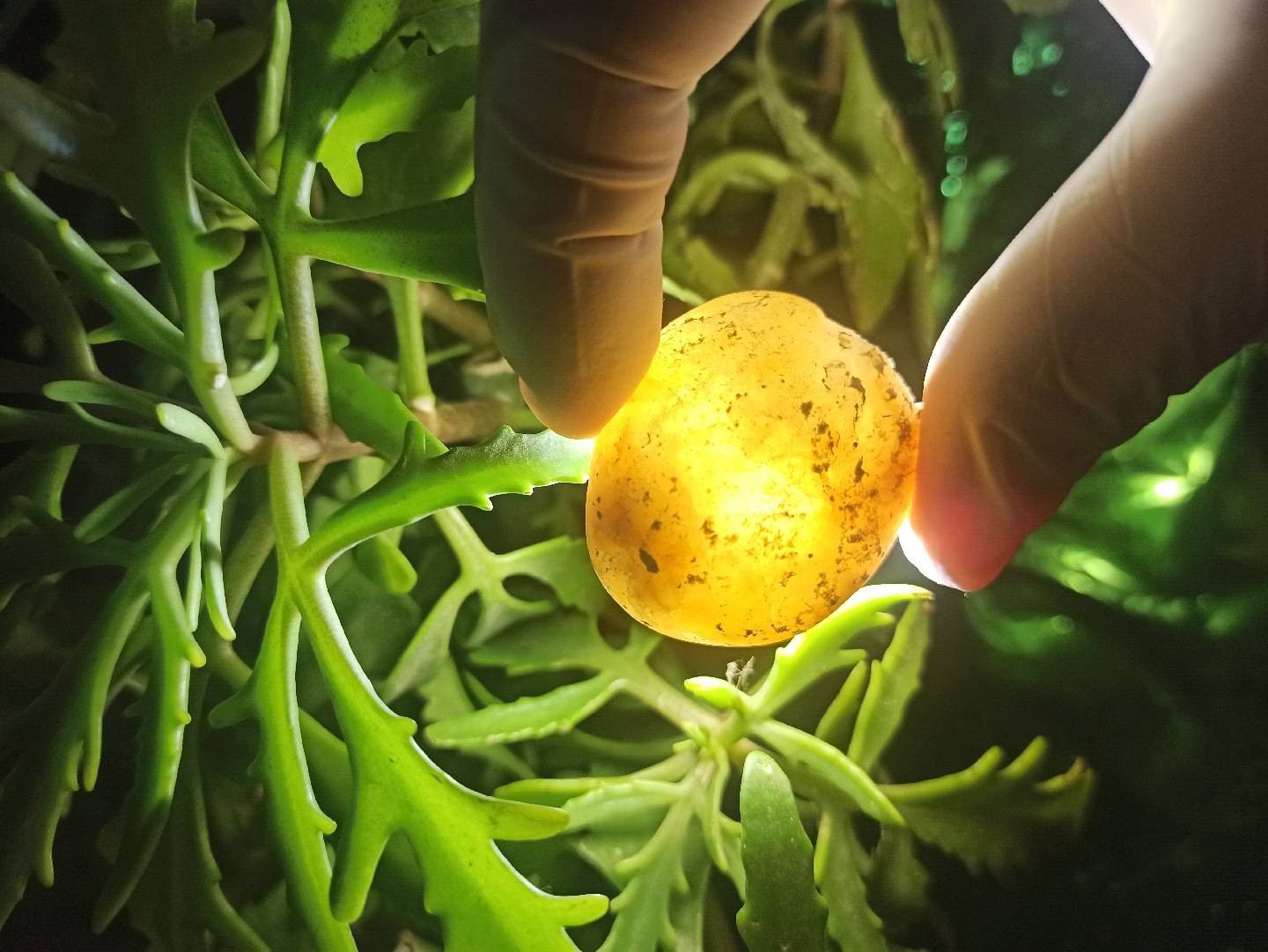 İşıq keçirən Təbii Mineral Daşlar ✨💎 — şəkil 3