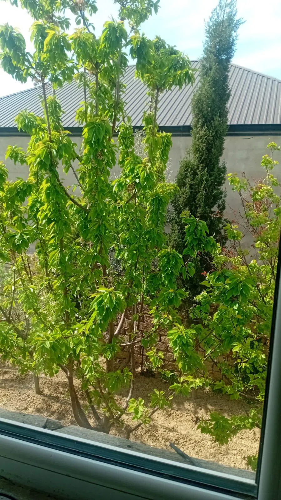 4 otaqlı həyət evi 146 m² satılır — şəkil 20