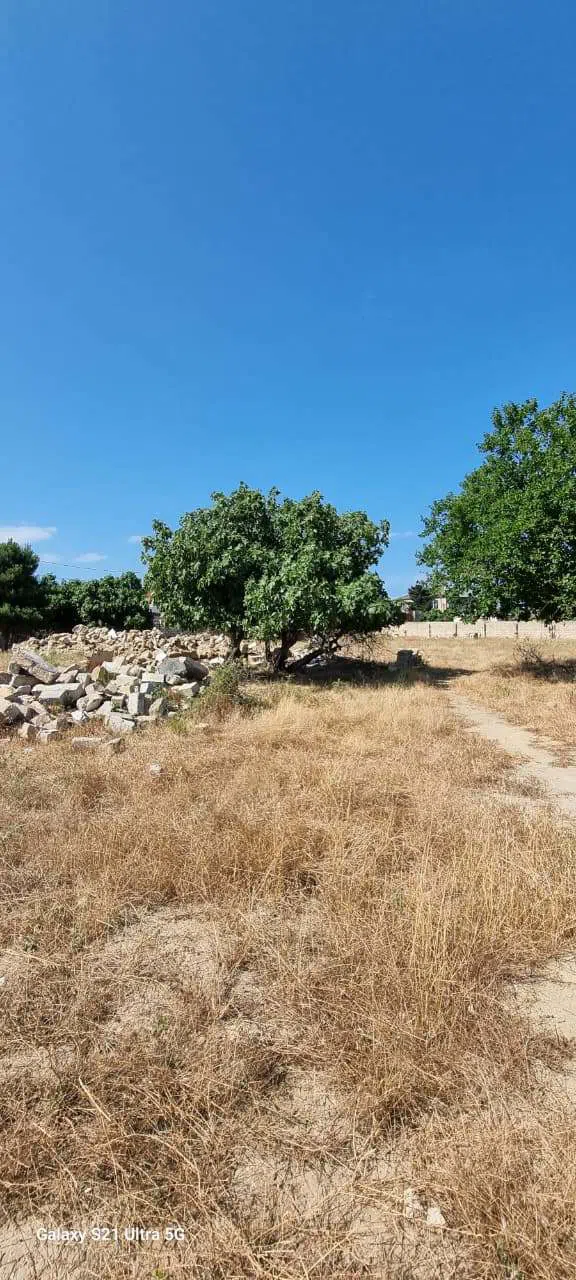 30 sot torpaq sahəsi satılır — şəkil 5
