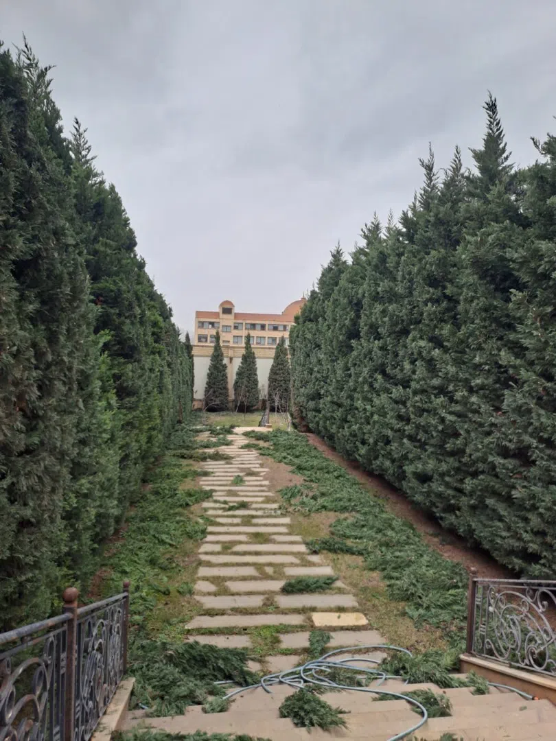 — şəkil 4