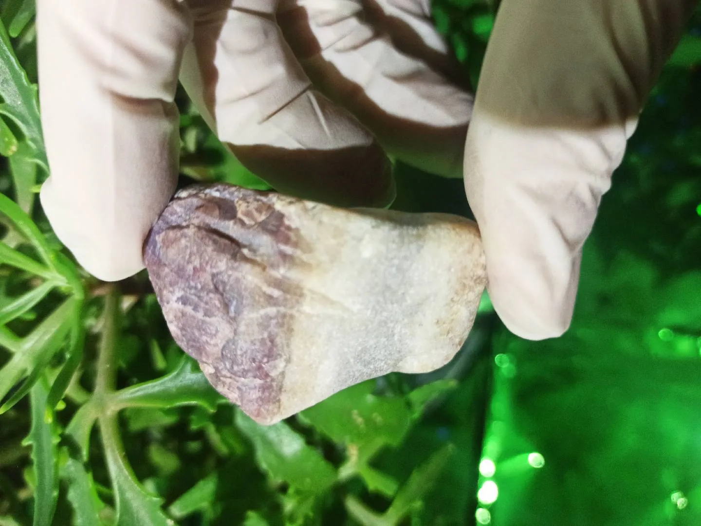 Təbii Mineral Daşların Satışı — şəkil 4