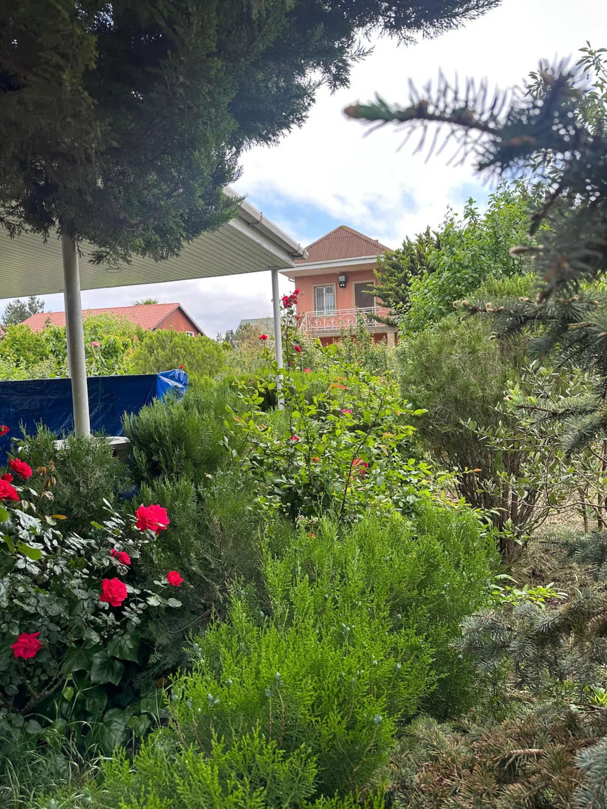11 sot torpaq sahəsi satılır — şəkil 7