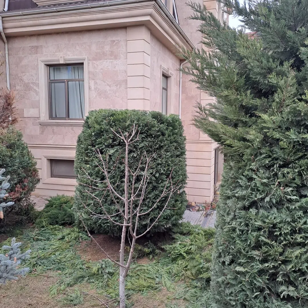 — şəkil 4