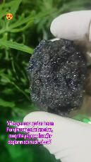 Bornite - Magnetite Təbii Daş Satışı - Tenderyard