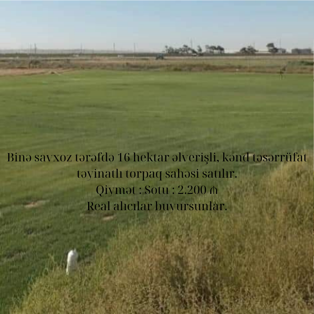 Əla fürsət, alan uduzmaz.