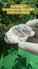 İşıq keçirən Təbii Mineral Daşlar - Tenderyard