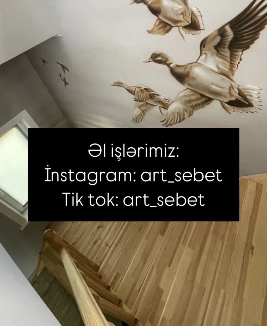 — şəkil 1