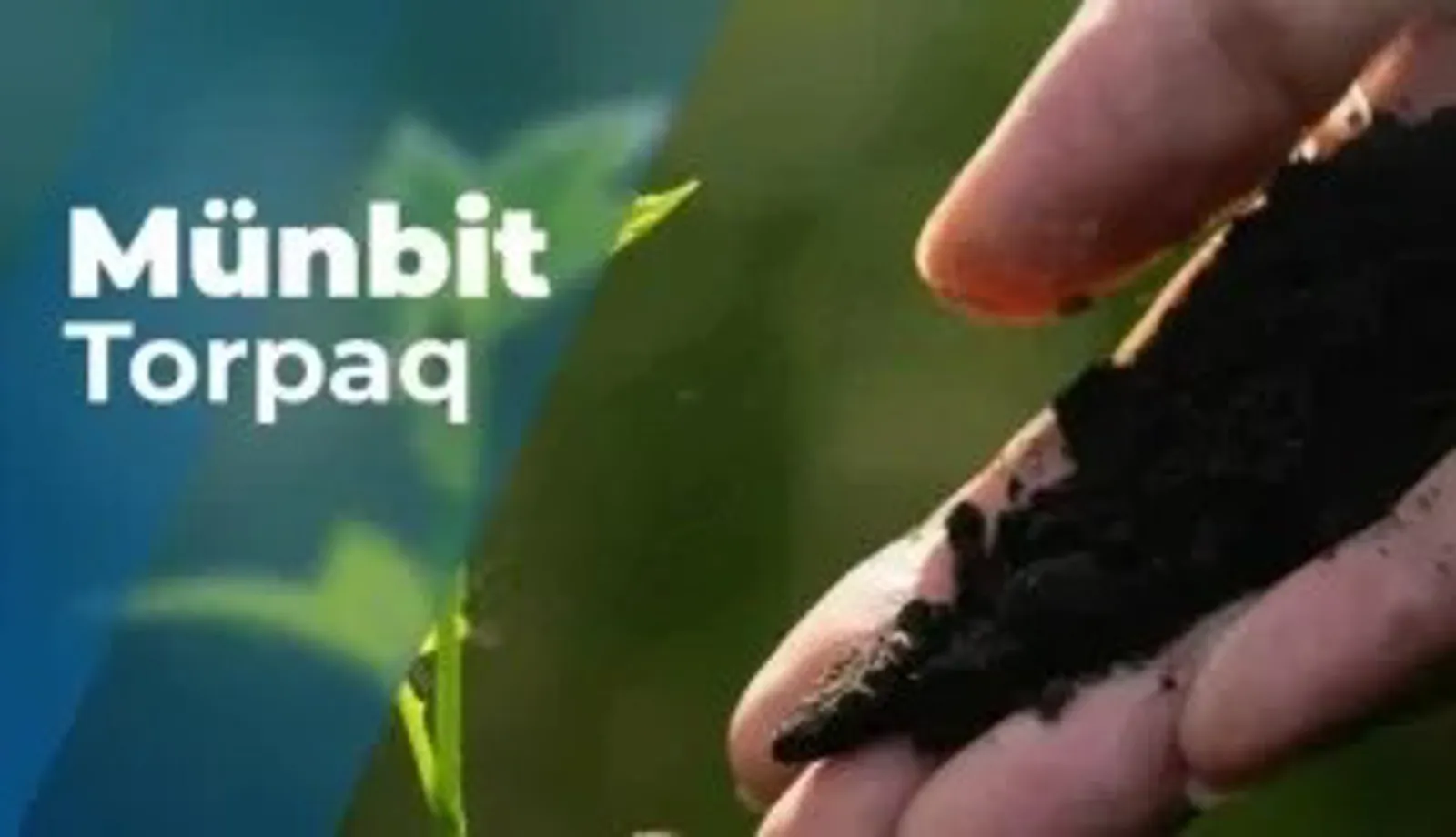 Meşə və qazon altı torpaqların çatdırılması