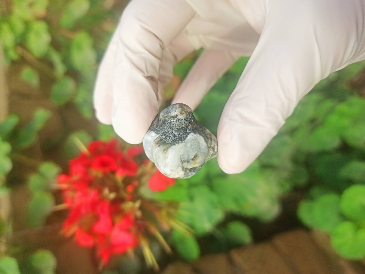 Təbii Mineral Daşların Satışı — şəkil 13