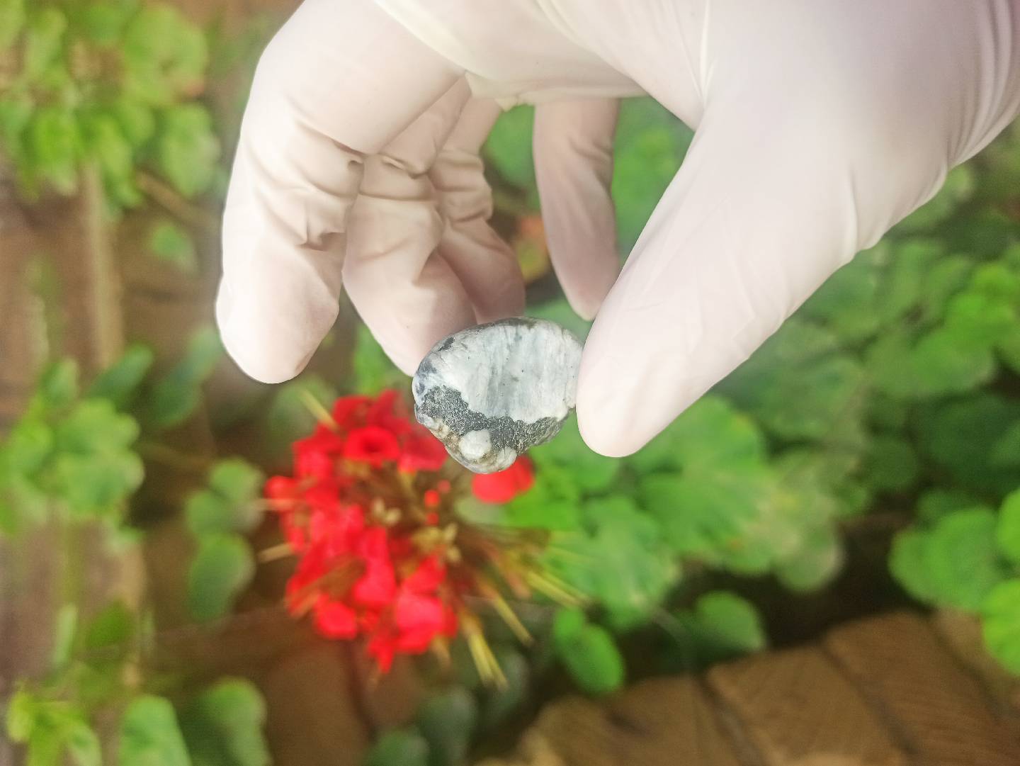 Təbii Mineral Daşların Satışı — şəkil 18