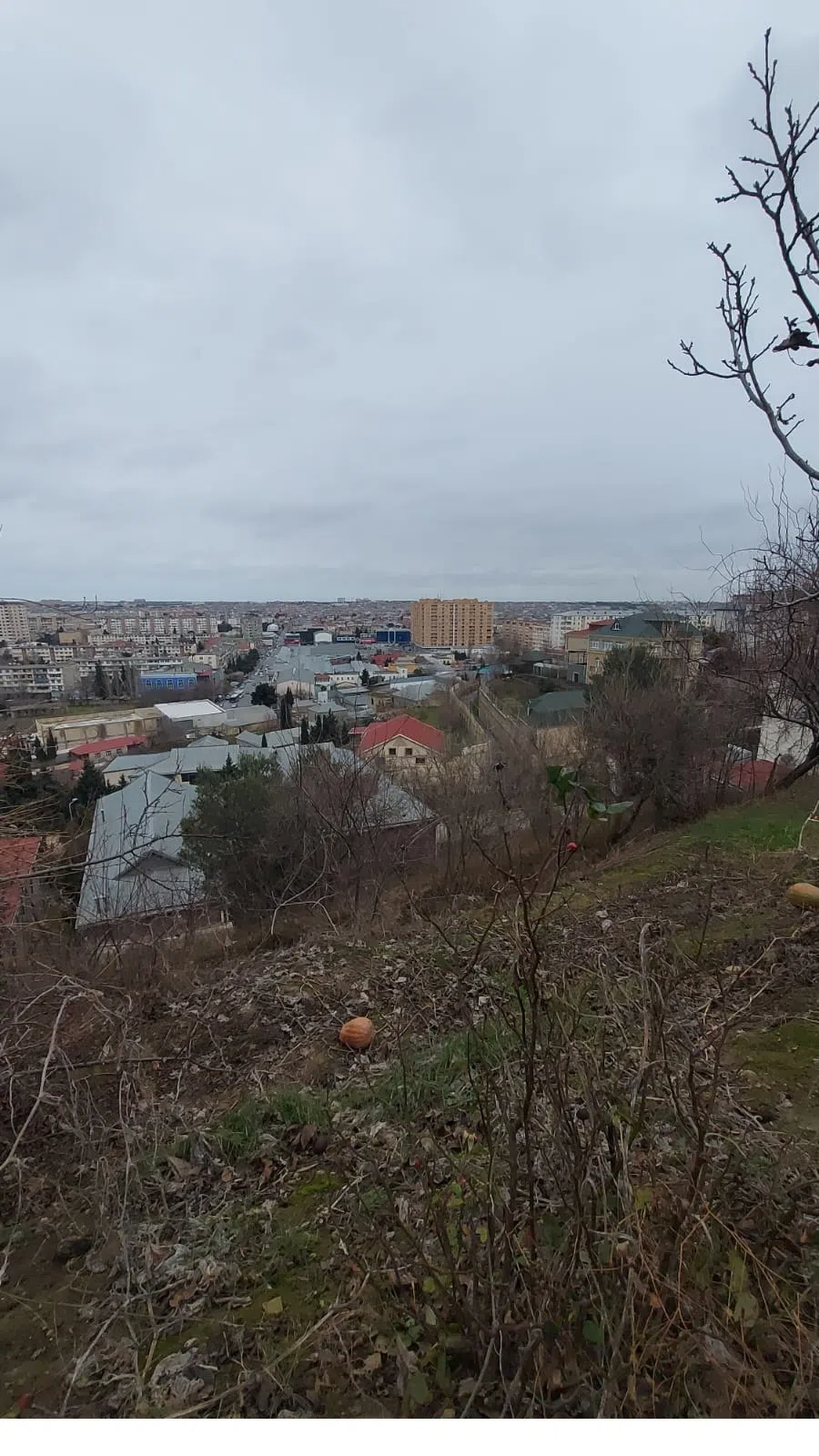 6 otaqlı villa 450 m² - 16 sot torpaq sahəsində satılır - Tenderyard