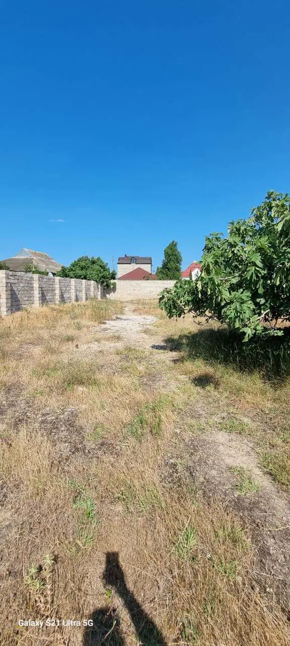 7 sot torpaq sahəsi satılır — şəkil 4