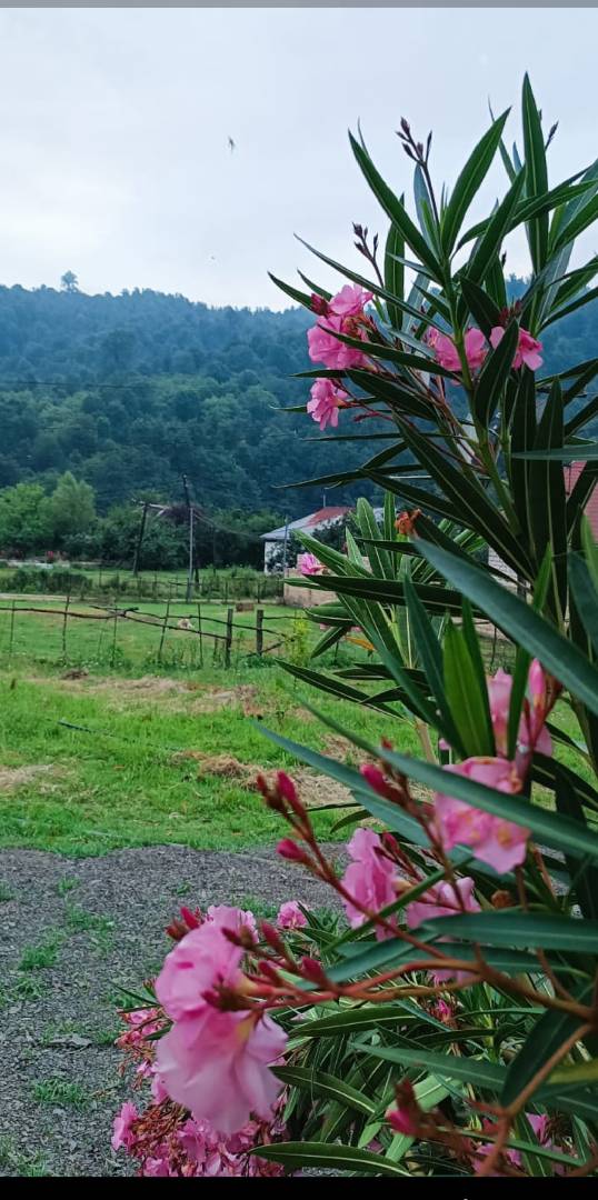 2 otaqlı həyət evi 10 m² - günlük kirayə verilir — şəkil 7
