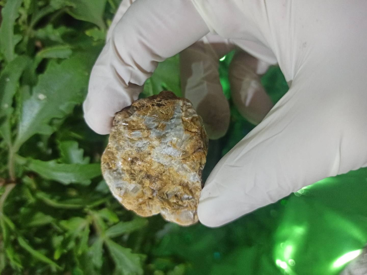 Petrified Wood (daşlaşmış ağac) fosili? 🧐🤔 — şəkil 7