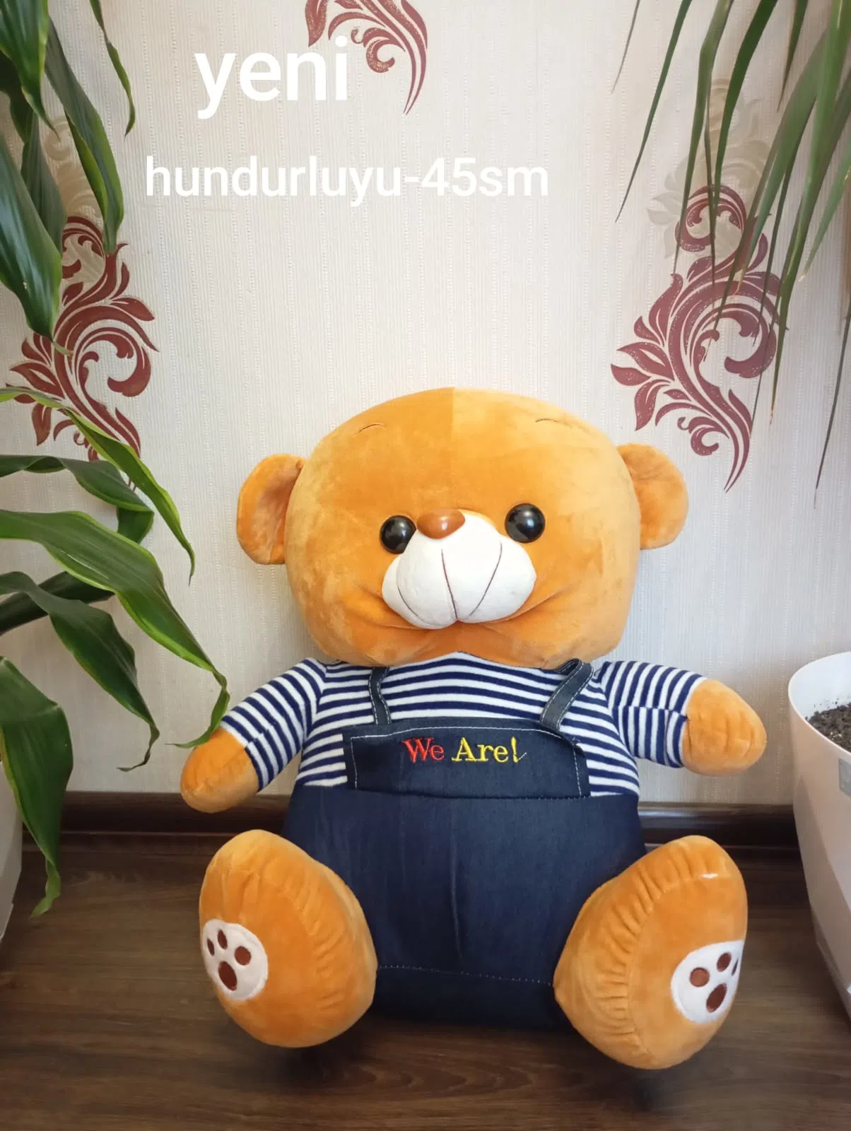 Ayiciqlar.Ekiz ayilar