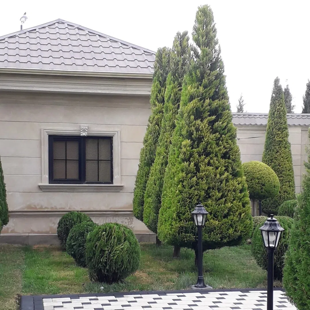 — şəkil 7
