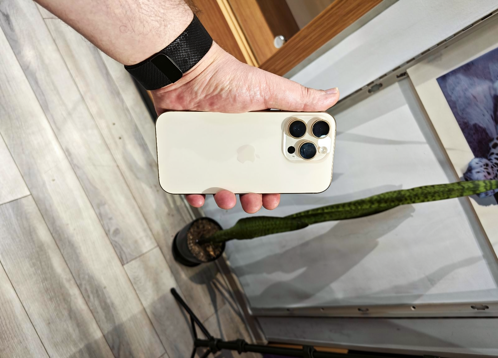 Apple, iPhone 16 Pro, 8 GB — şəkil 4