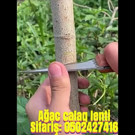 Plant grafting tape - Tenderyard